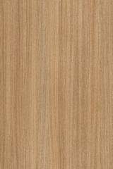 ����� 5501 SN ��� ��������