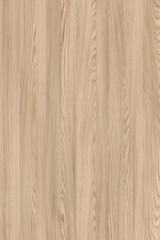 ����� 8203 SP/BS ������ ������ �������